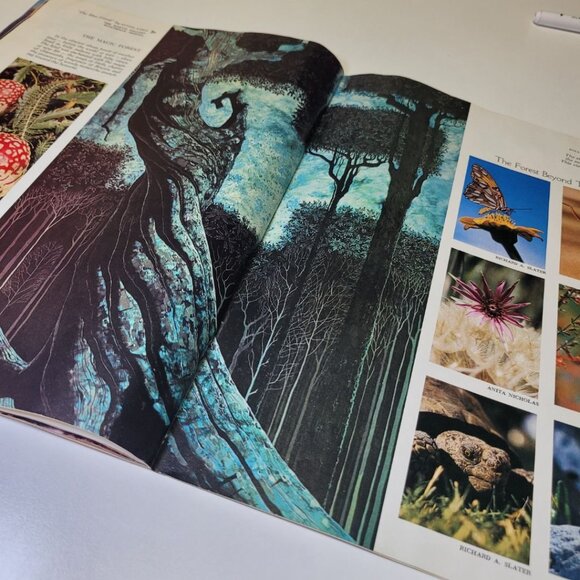 Arizona Highways December 1972 Holiday Seasons Greetings Christmas Snow Cactus - Picture 6 of 15